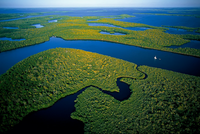 Researchers Jose Fuentes and Michael Mann to investigate Everglades ecosystem, climate change