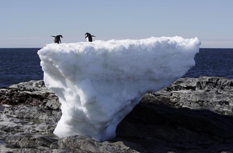 Antarctic Ice with penguins